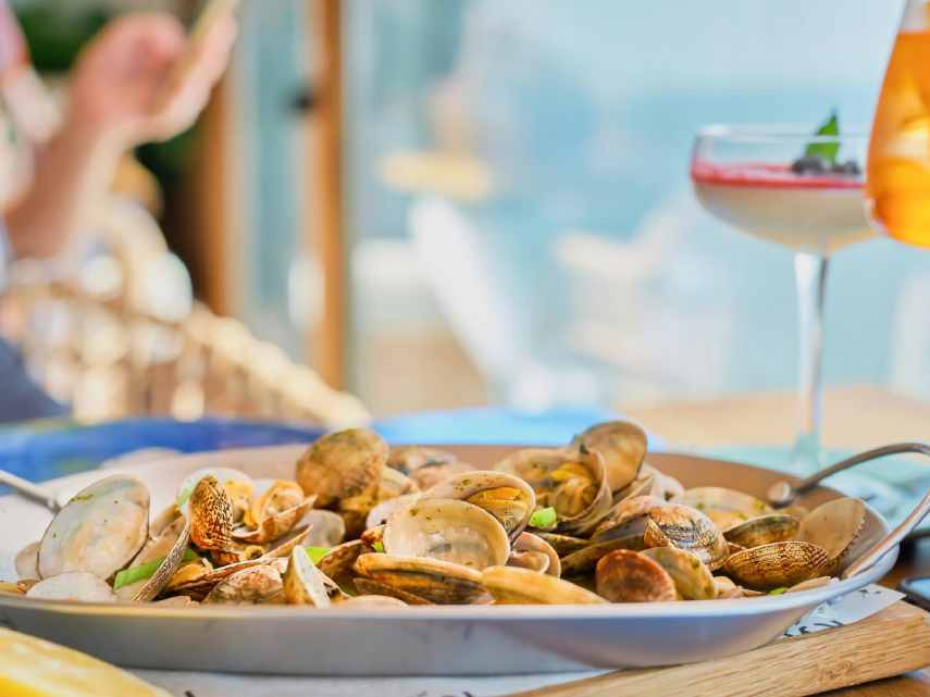 Mussels, Mates & Mondays: Why Tecom’s Craziest Shell Game Starts Here
